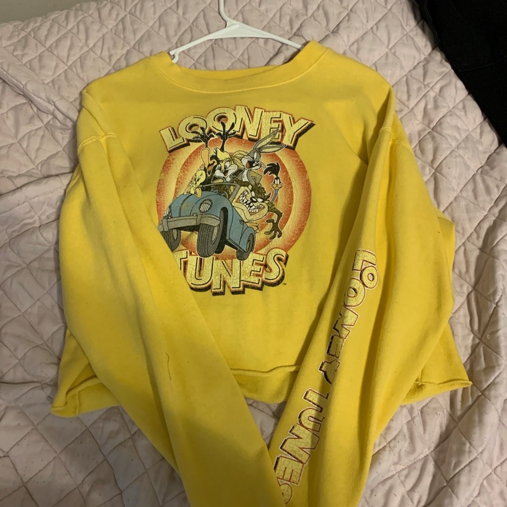 Looney tunes sweater